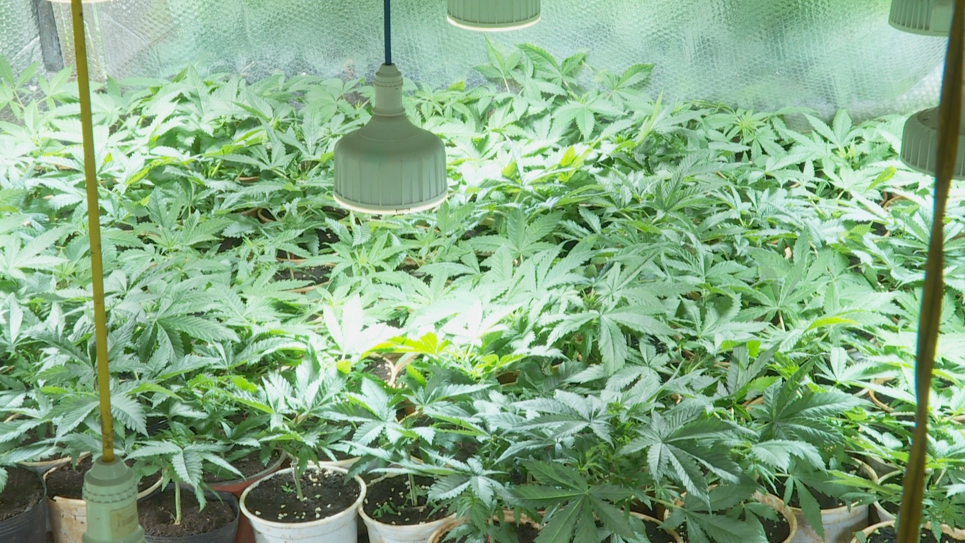 Phat hien 2 nguoi dan ong trong can sa o ray hinh anh