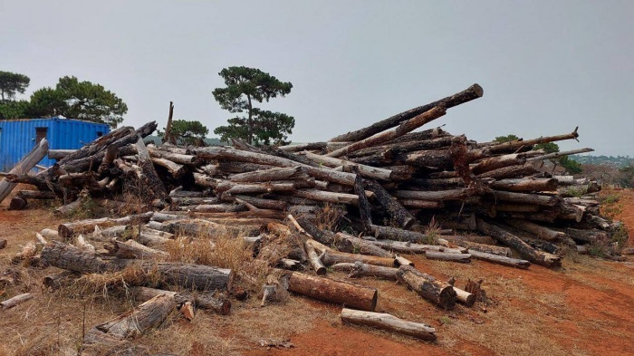 can bo ky luat anh 2