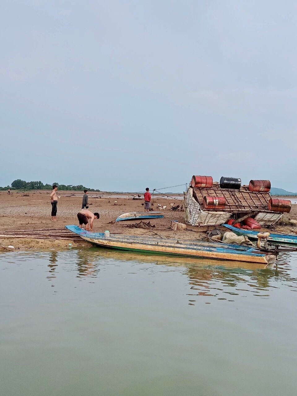 chim long be nuoi ca anh 2