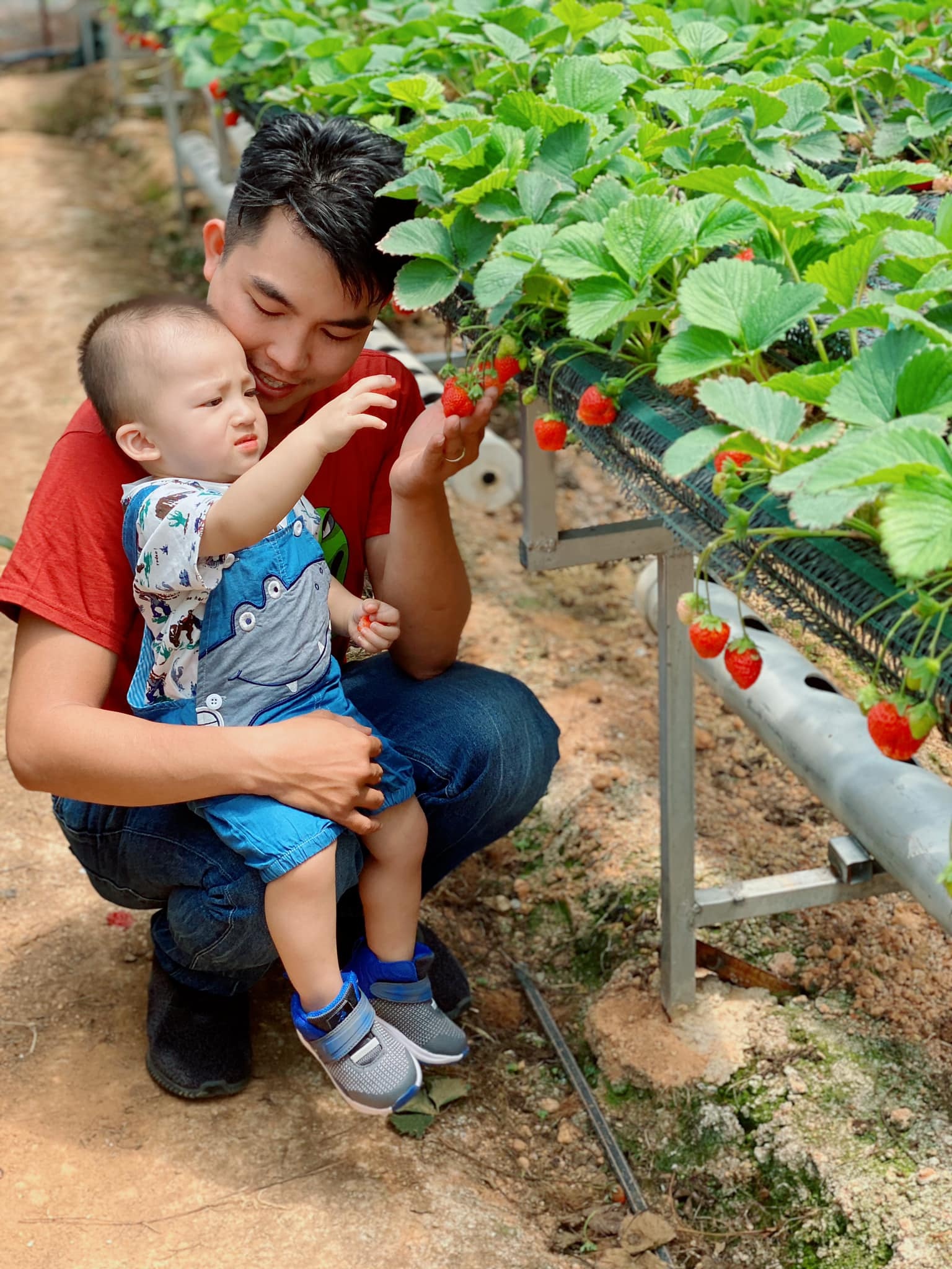 bai du thi Cam on me anh 6