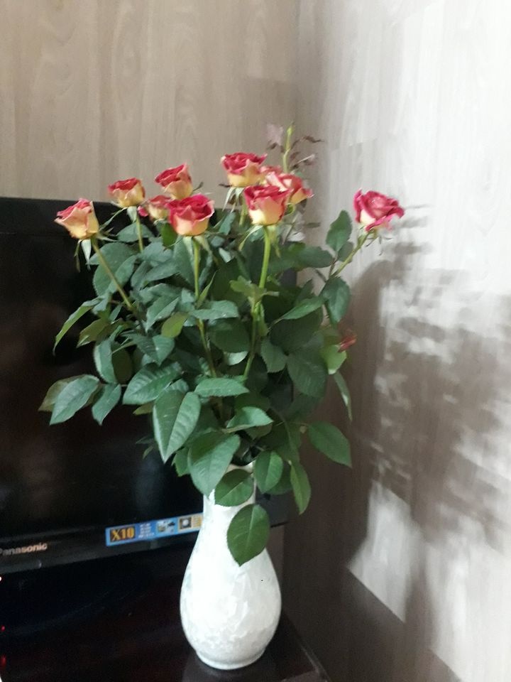 bai du thi Cam on me anh 4