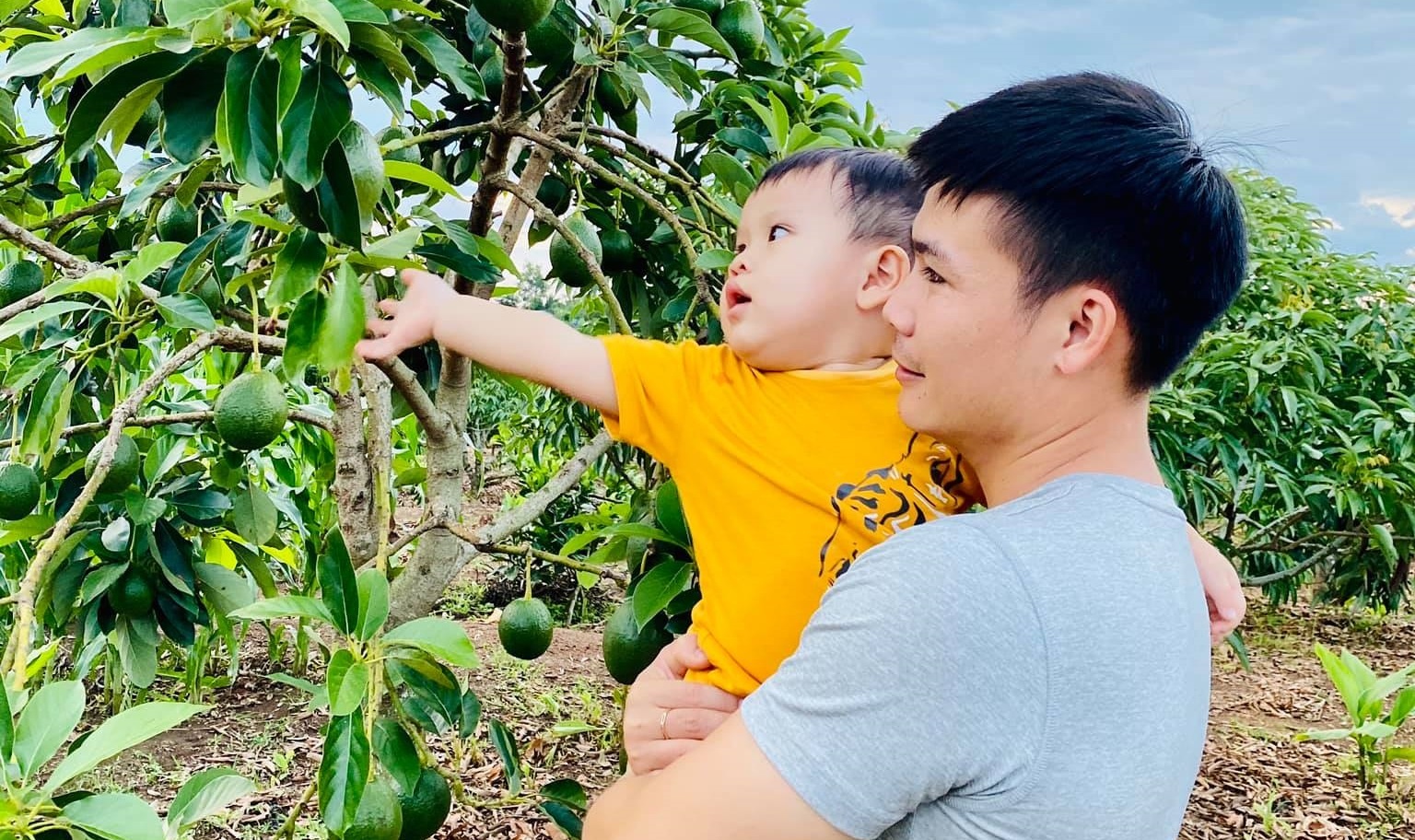 'Tre can yeu thuong nhu cay xanh can nuoc' hinh anh