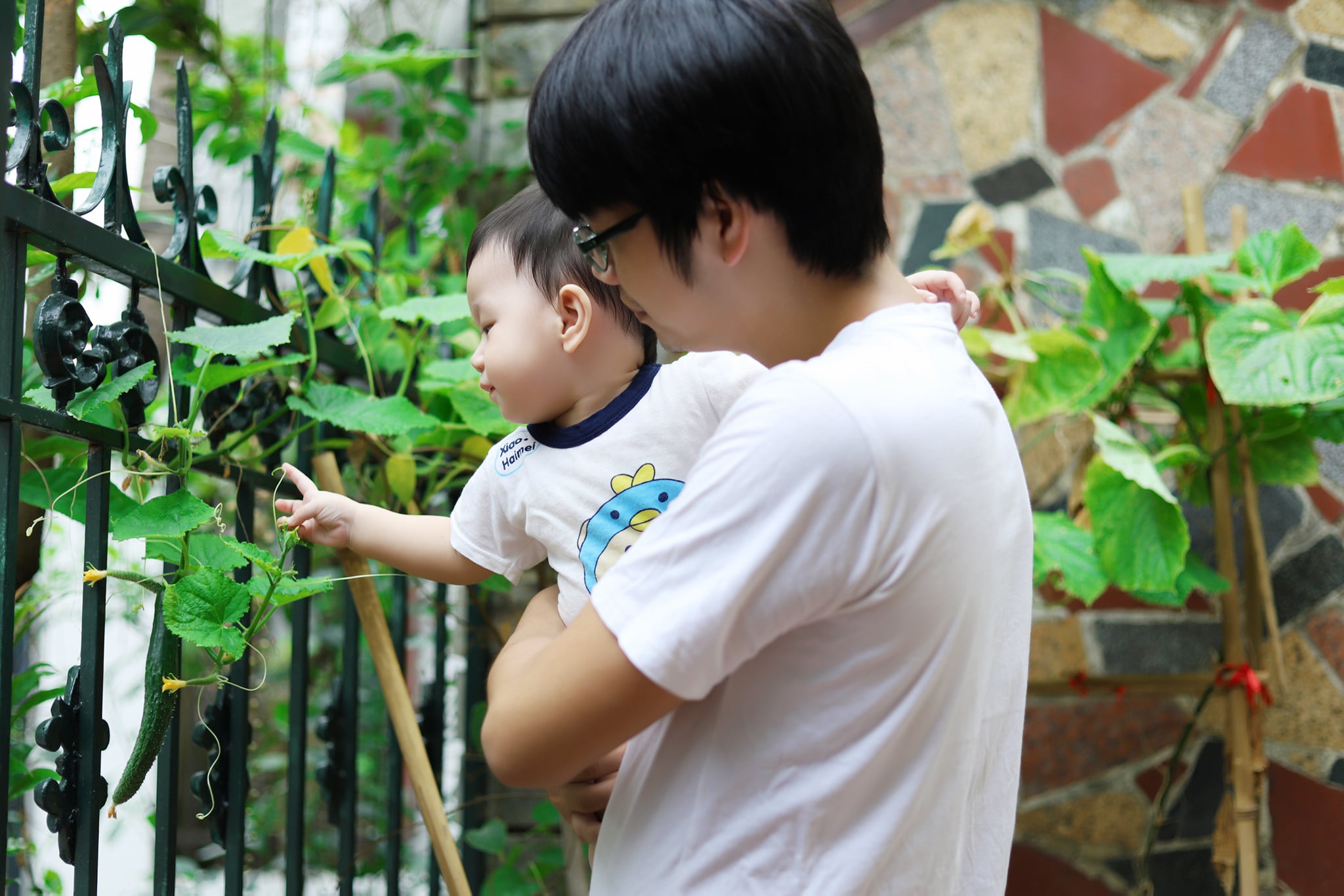 Bo bo thuoc la de bao ve con hinh anh