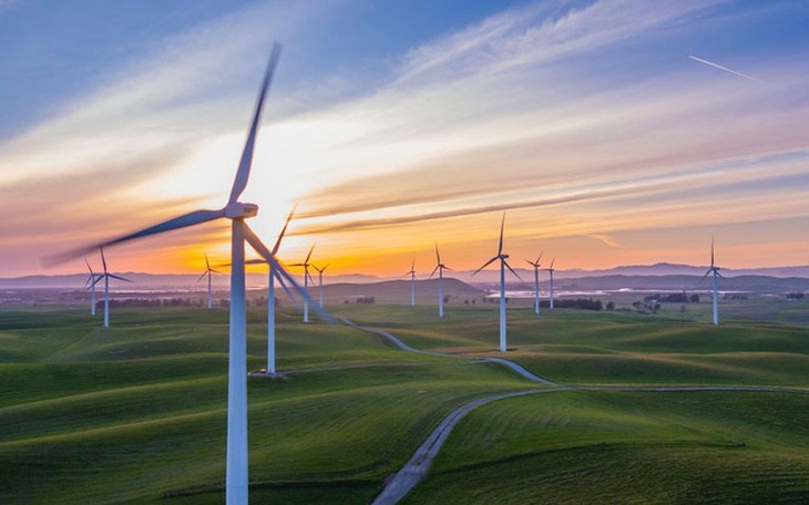 Hien thuc hoa chien luoc ‘xanh hoa’ nen kinh te the nao? hinh anh