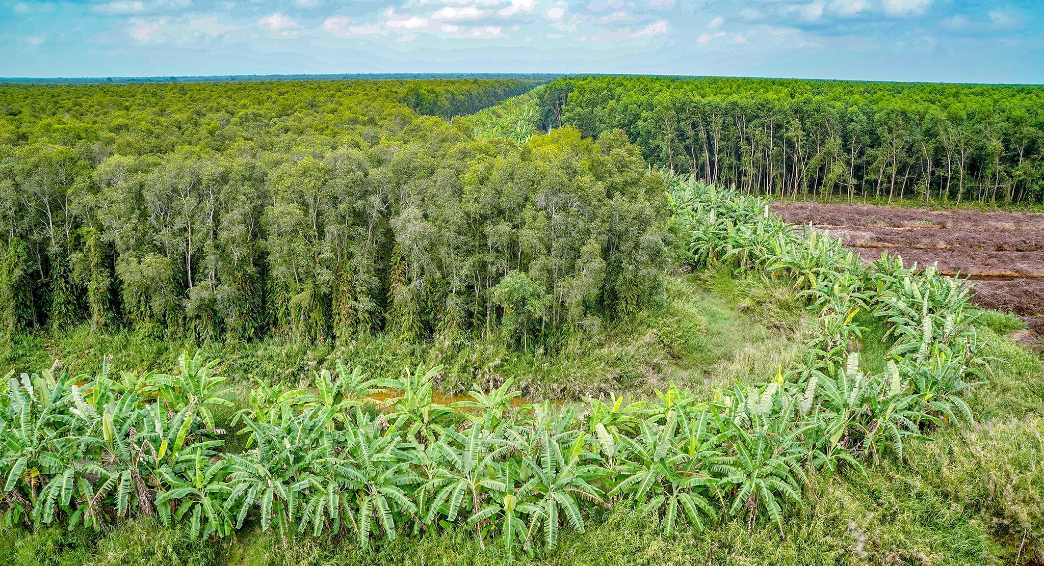 du lich Ca Mau,  Dat Mui anh 6
