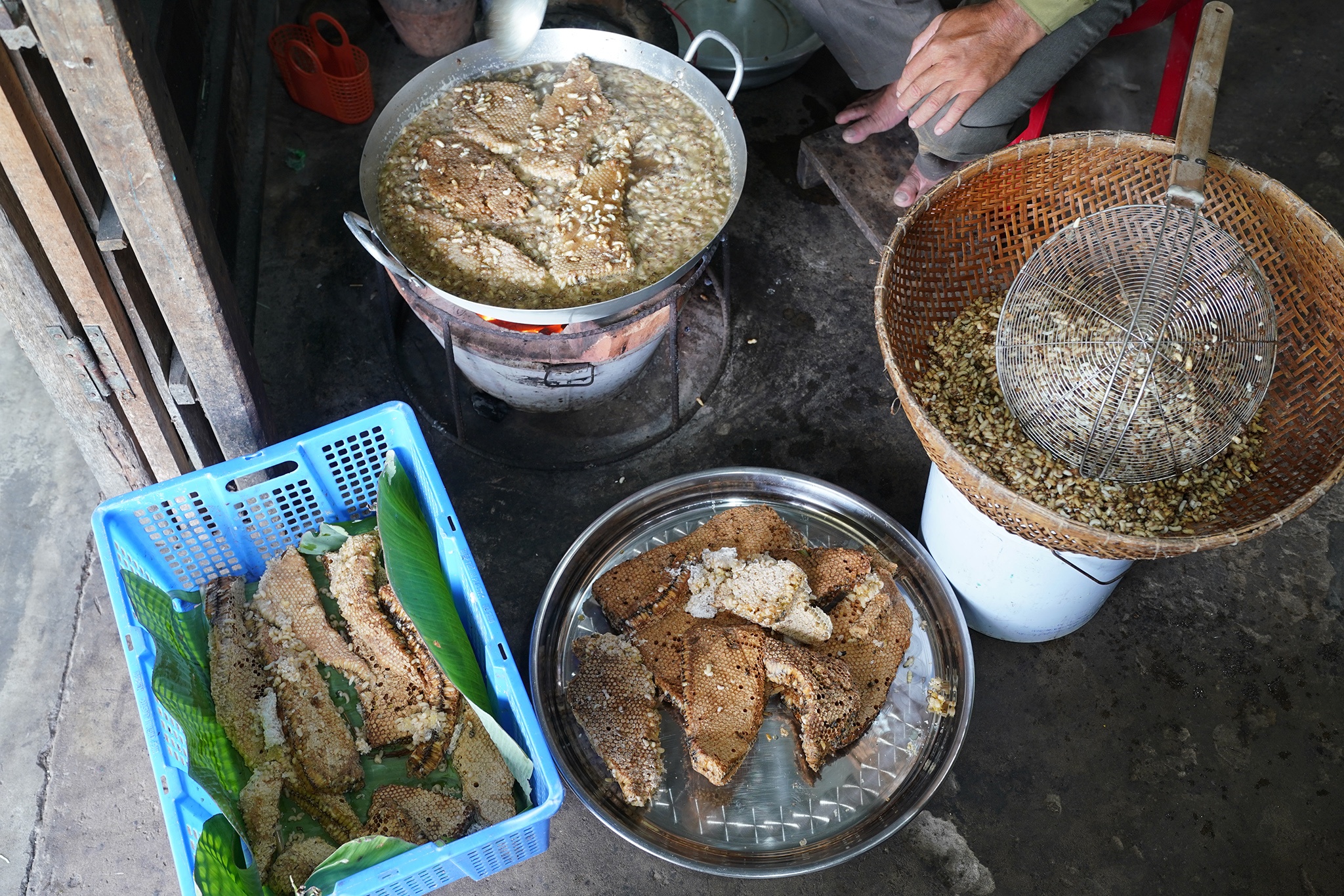 mắm ong,  du lịch Cà Mau,  ẩm thực Cà Mau ảnh 3 mam ong,  du lich Ca Mau,  am thuc Ca Mau anh 3