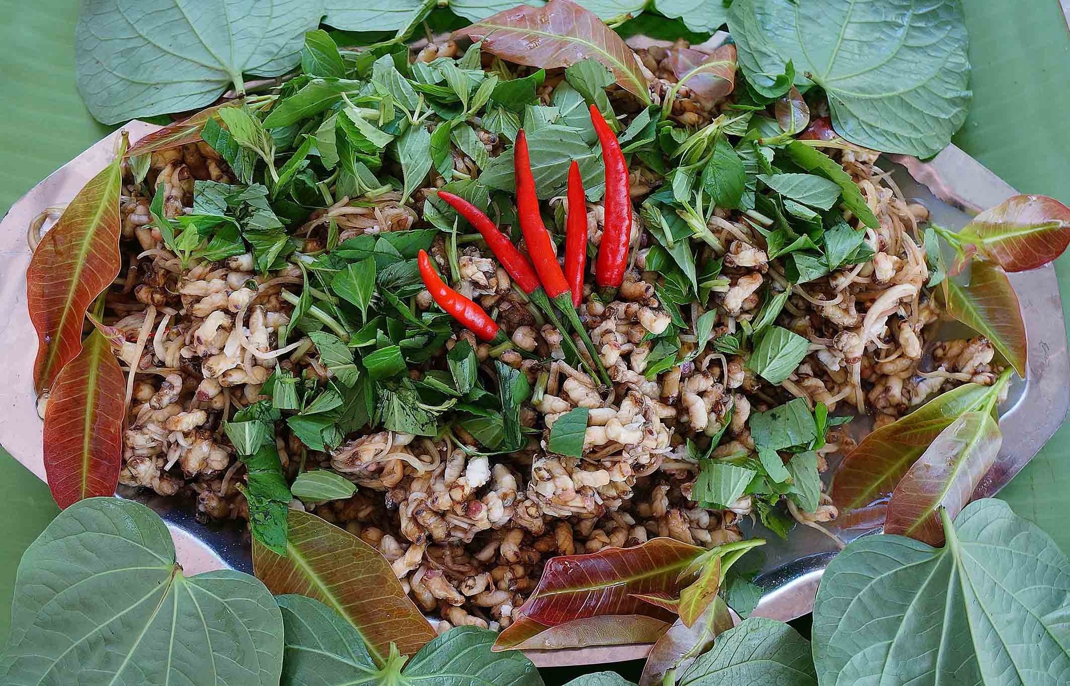 mắm ong,  du lịch Cà Mau,  ẩm thực Cà Mau ảnh 10 mam ong,  du lich Ca Mau,  am thuc Ca Mau anh 10