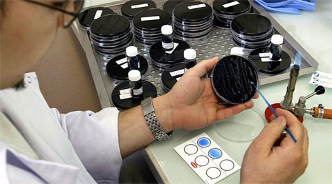 Dich benh chet nguoi bung phat o New York hinh anh