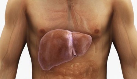 Tuyet chieu phong tranh gan nhiem mo hinh anh