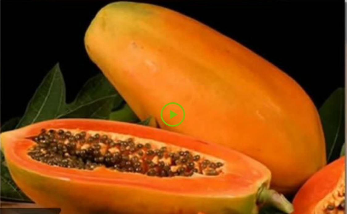 Nhan biet xoai, du du non bi ep chin hinh anh