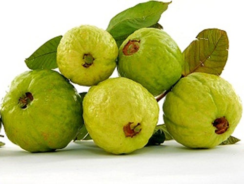 Tac ruot vi an qua nhieu nhung loai qua von bo duong hinh anh
