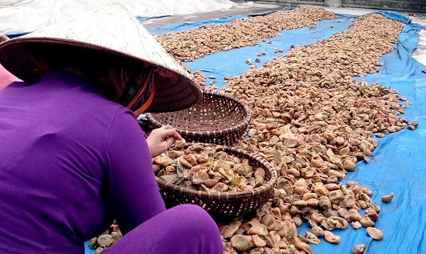 Canh lam o mai ban o Ha Noi hinh anh