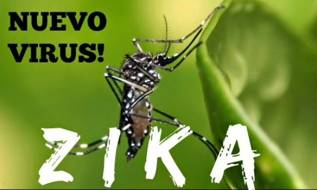 Bo y te lo ngai virus an nao ve Viet Nam hinh anh