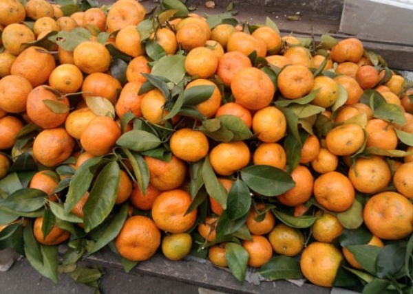 Quyt nhuom mau cho dep co an toan? hinh anh