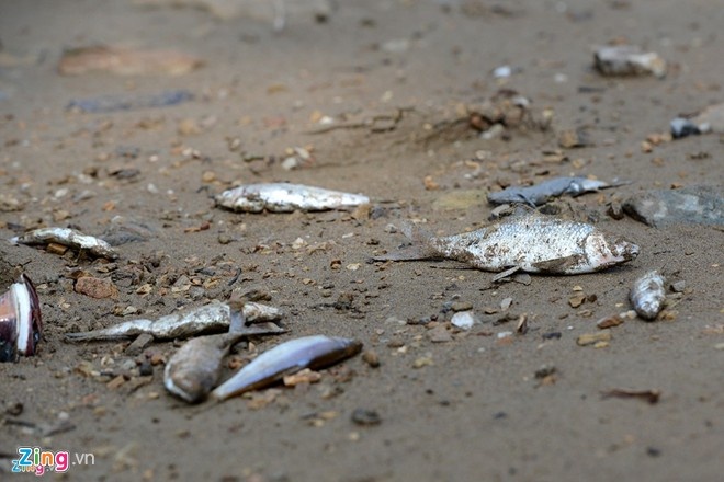 Ca chet, bun thai chi lo thien dac biet nguy hai suc khoe hinh anh