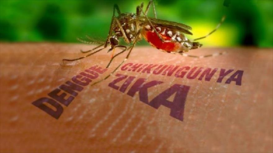 Virus an nao nguoi nguy hiem nhu the nao khi vao Viet Nam? hinh anh
