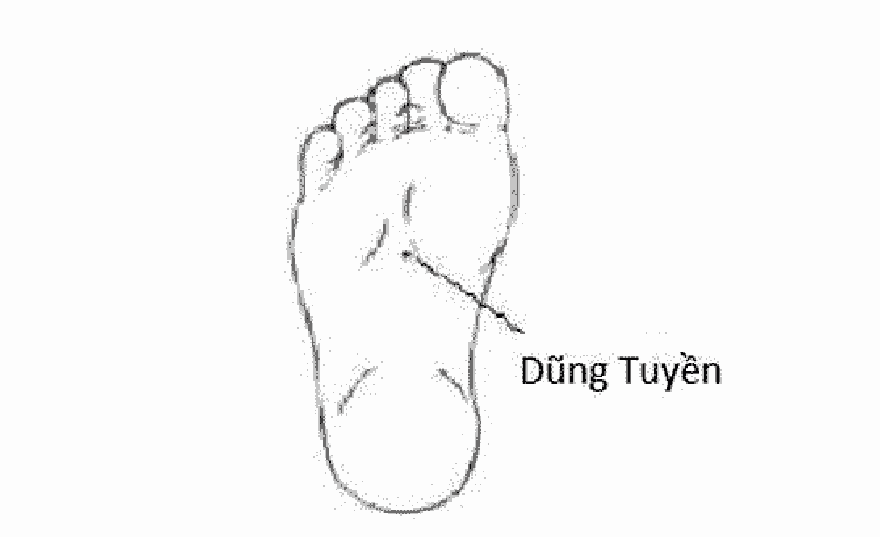 Huyet dung tuyen va tac dung tuyet voi trong tri benh hinh anh