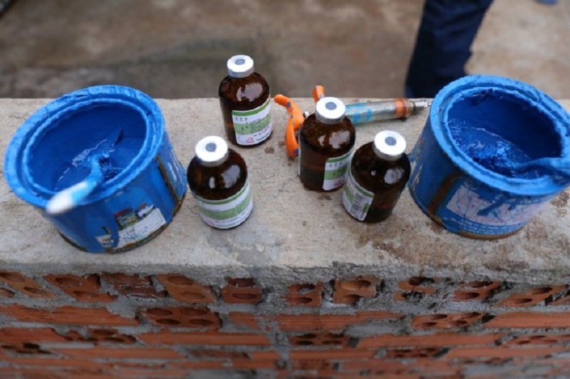 tiêm thuốc an thần cho lợn ảnh 1 tiem thuoc an than cho lon anh 1