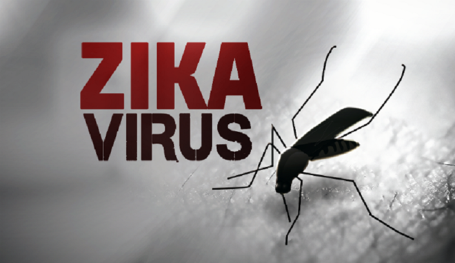 virus Zika xam nhap vao Viet Nam anh 1