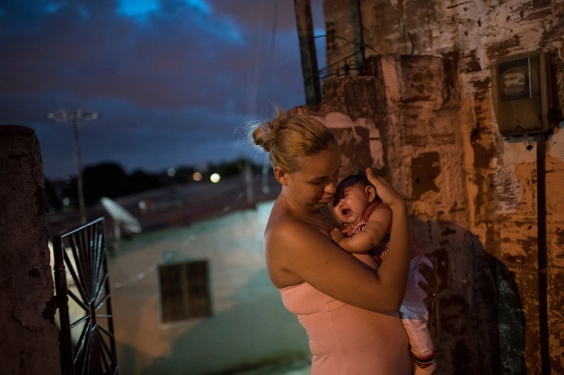 virus Zika gây teo não thai nhi ảnh 1 virus Zika gay teo nao thai nhi anh 1
