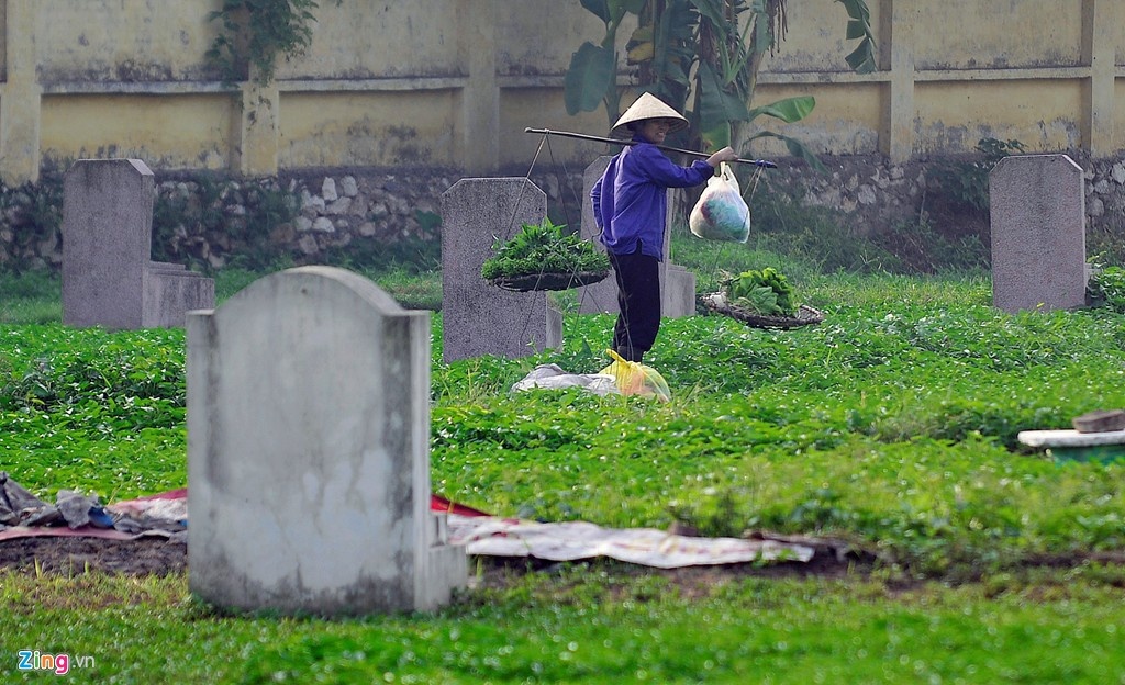 rau trong tai nghia dia anh 1