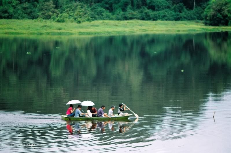 Bau Sau - rung tham va dam lay hinh anh