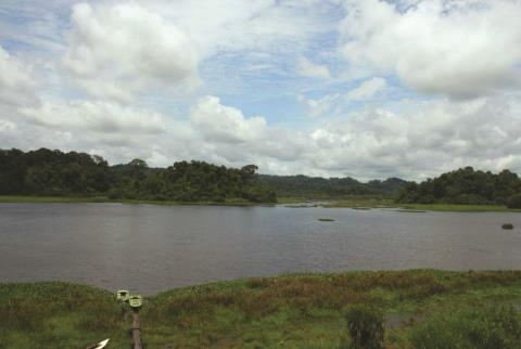 du lịch Bàu Sấu ảnh 1 du lich Bau Sau anh 1