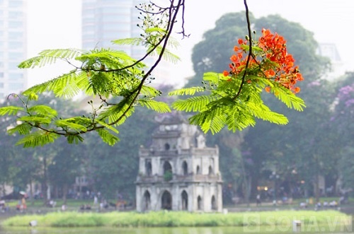 Ha Noi lot top diem den hap dan cua nam hinh anh