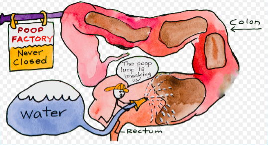 Nhung loi ich cua detox rua dai trang bang nuoc hinh anh