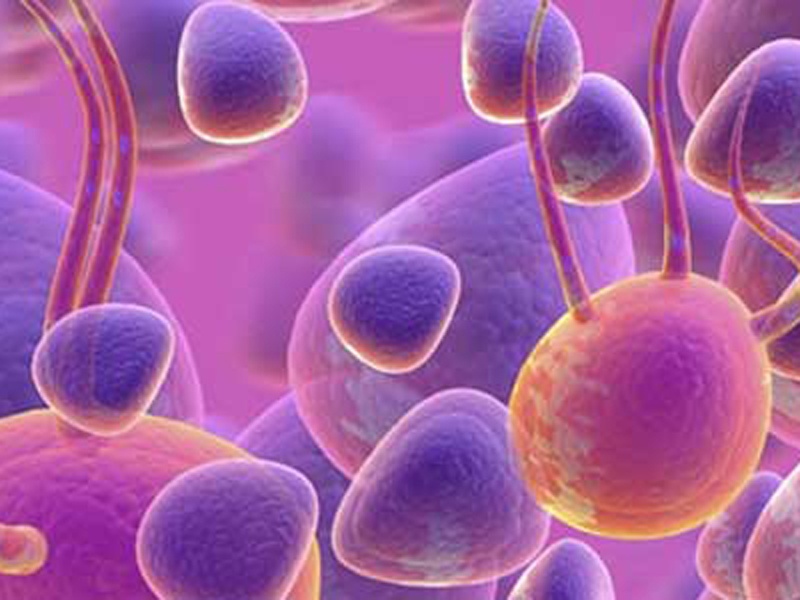 Phuong phap dieu tri ung thu khong gay dau don hinh anh