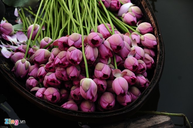 Bi quyet duong da cua Duong Quy Phi anh 1