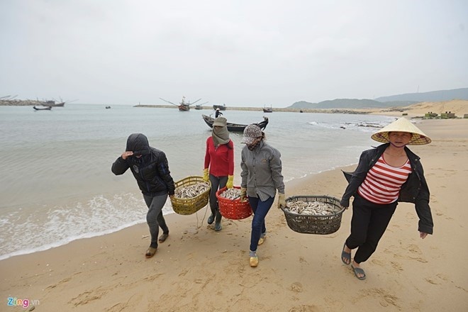 kết quả kiểm nghiệm mẫu cá ở miền Trung ảnh 1 ket qua kiem nghiem mau ca o mien Trung anh 1