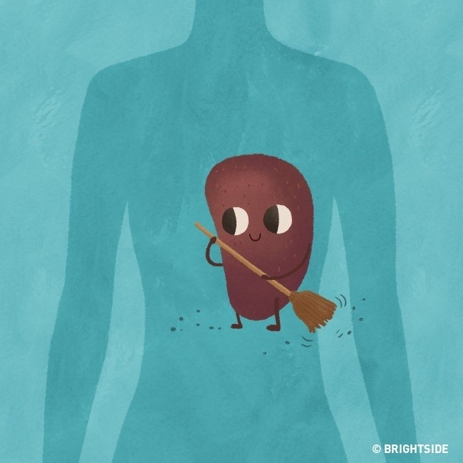 nằm ngủ nghiêng bên trái ảnh 1 nam ngu nghieng ben trai anh 1