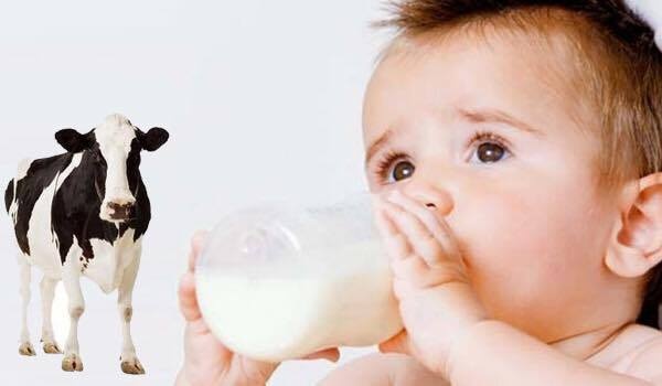 sữa thay thế sữa mẹ bằng hóa chất ảnh 1 sua thay the sua me bang hoa chat anh 1