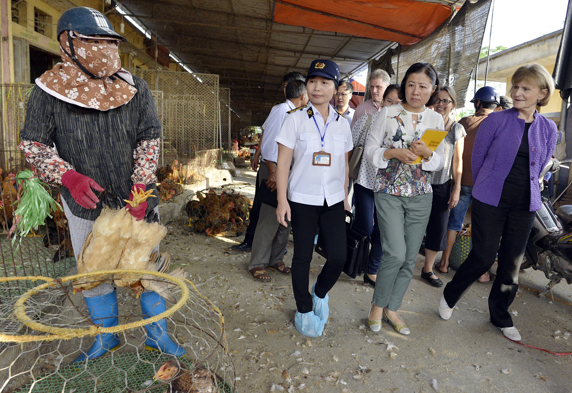 thi sat cho dau moi gia cam lon nhat mien Bac anh 4