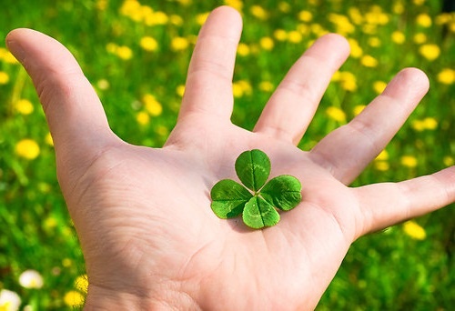 Tu vi chu nhat ngay 13/11 cua cac cung hoang dao hinh anh