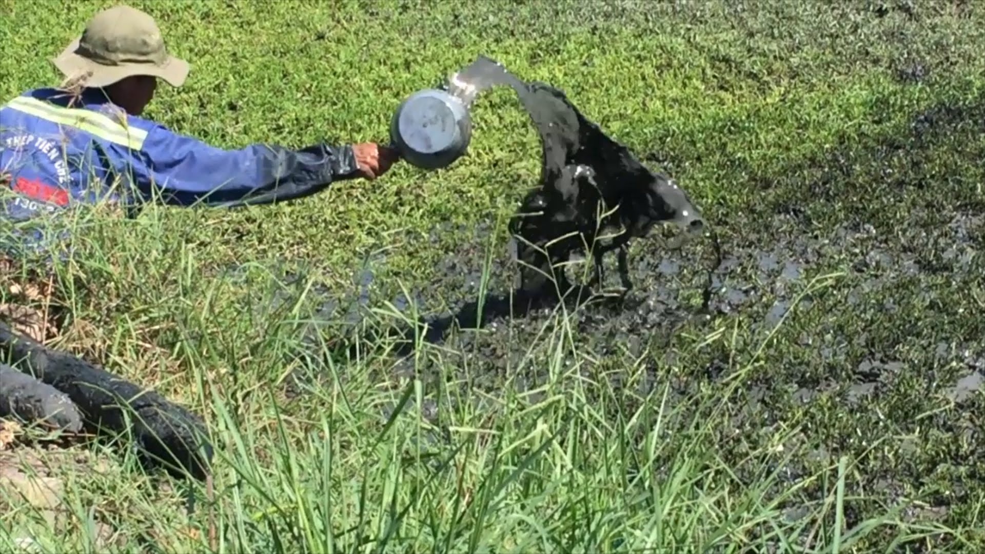 Ha Noi xu phat hon 24 ty dong ve sinh an toan thuc pham hinh anh