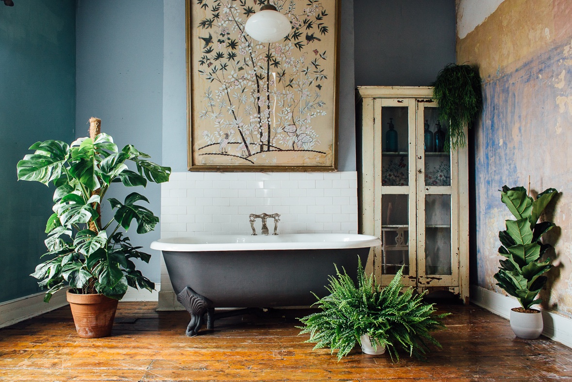 Nguyen tac dat cay canh trong nha anh 1