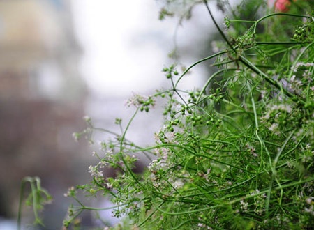 nồi nước tắm tất niên ảnh 1 noi nuoc tam tat nien anh 1