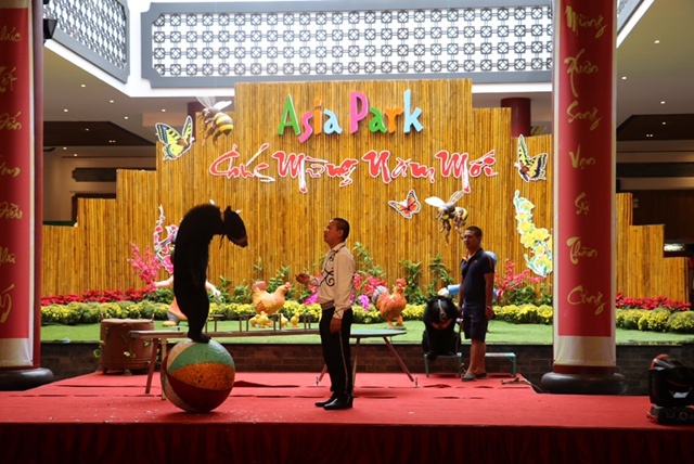 Asia Park la diem check- in bac nhat Da Nang anh 3