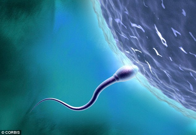 thói quen làm đàn ông giảm khả năng sinh sản ảnh 1 thoi quen lam dan ong giam kha nang sinh san anh 1