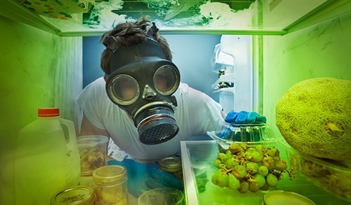 Thoi quen bien tu lanh thanh o vi khuan gay benh nguy hiem hinh anh