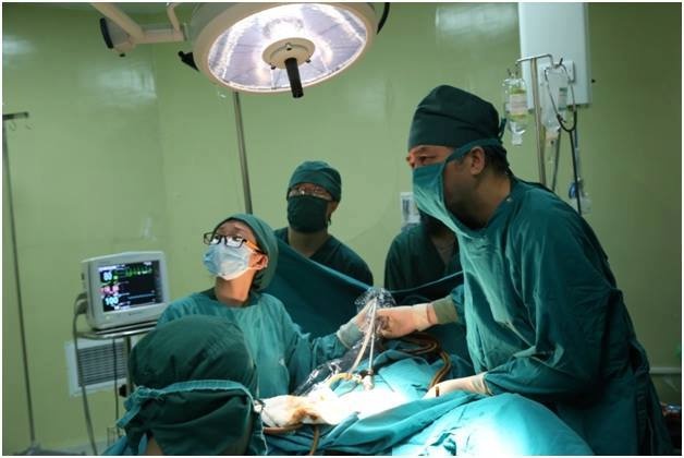 Nguoi phu nu phai cat toan bo tu cung sau khi bi rong kinh keo dai hinh anh