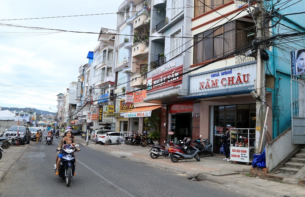 Festival Hoa Da Lat anh 1