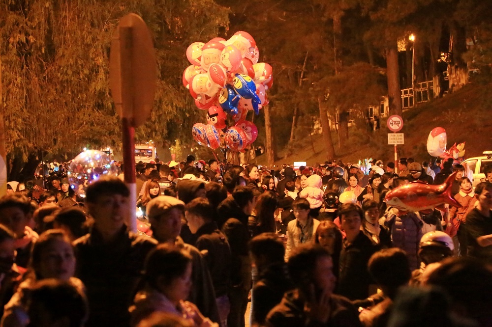 Festival Hoa Da Lat anh 5