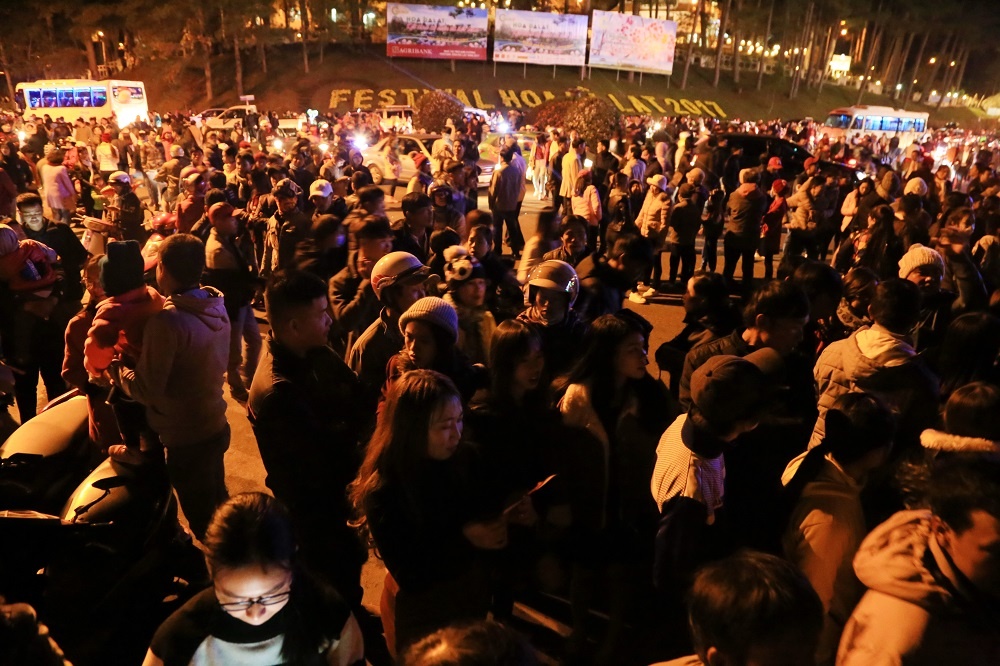 Festival Hoa Da Lat anh 6