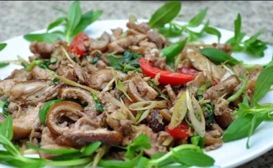 su that ve thit meo anh 2