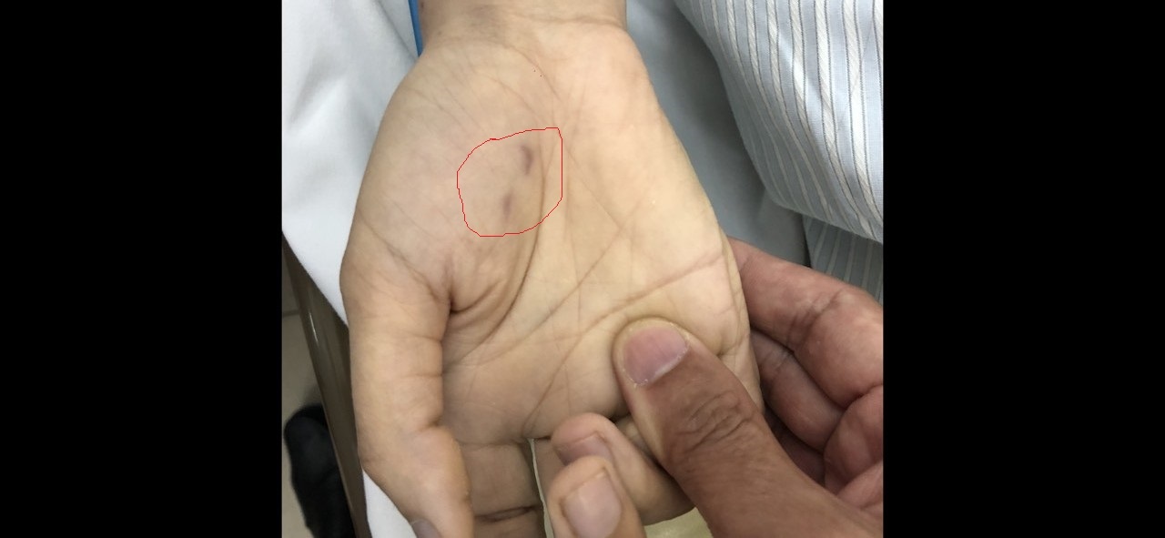 nu bac si thu y tu vong anh 1