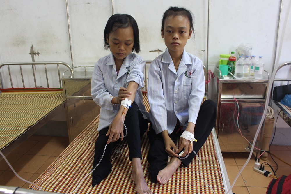 tan mau bam sinh anh 2