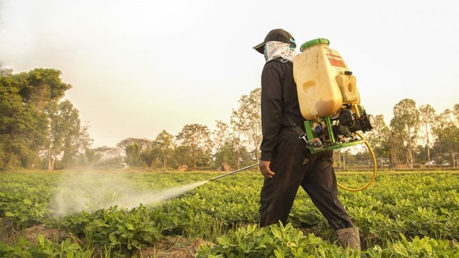 Tinh trùng loài người giảm 1, 4% mỗi năm ảnh 1 Tinh trung loai nguoi giam 1, 4% moi nam anh 1